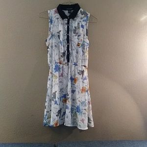 Love Chesley sheer sleeveless dress
